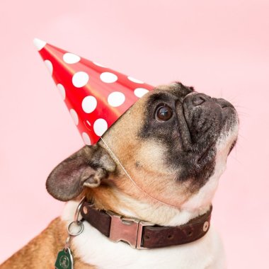 TEMAER OG BEGIVENHEDER