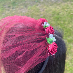 Bordeaux  / Rd Henna Dag Hrbjle 