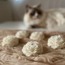 Pon Sojavokslys Hndlavet 