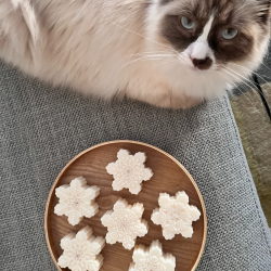 Snefnug Formede Sojalys Hndlavet 6 stk.