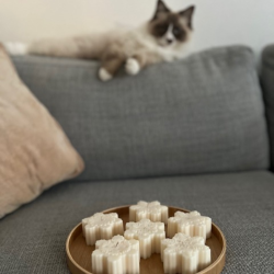 Snefnug Formede Sojalys Hndlavet 6 stk.